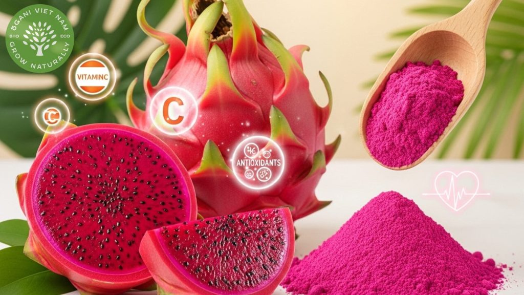 pink pitaya powder benefits 