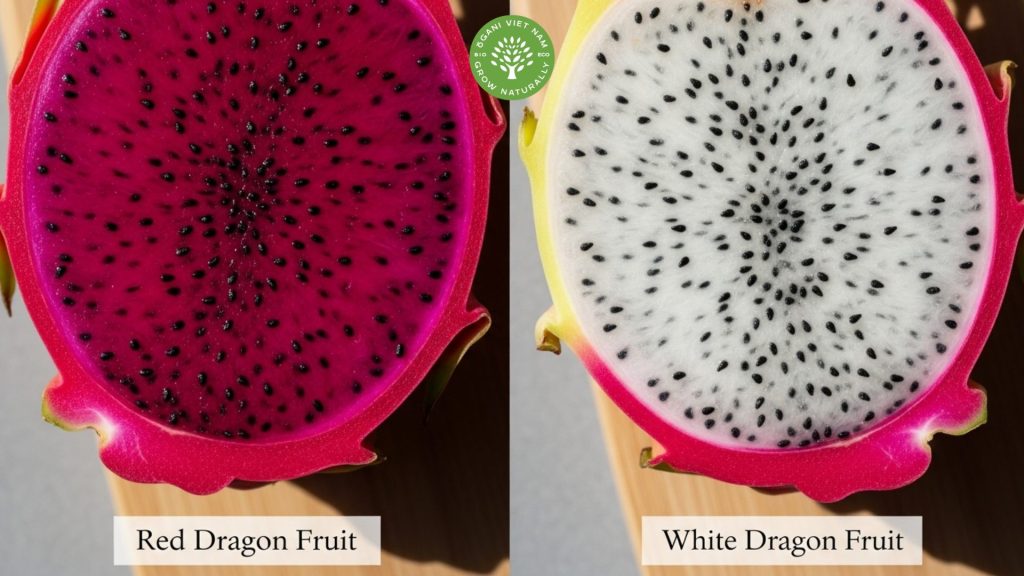 Dragon fruit red benefits