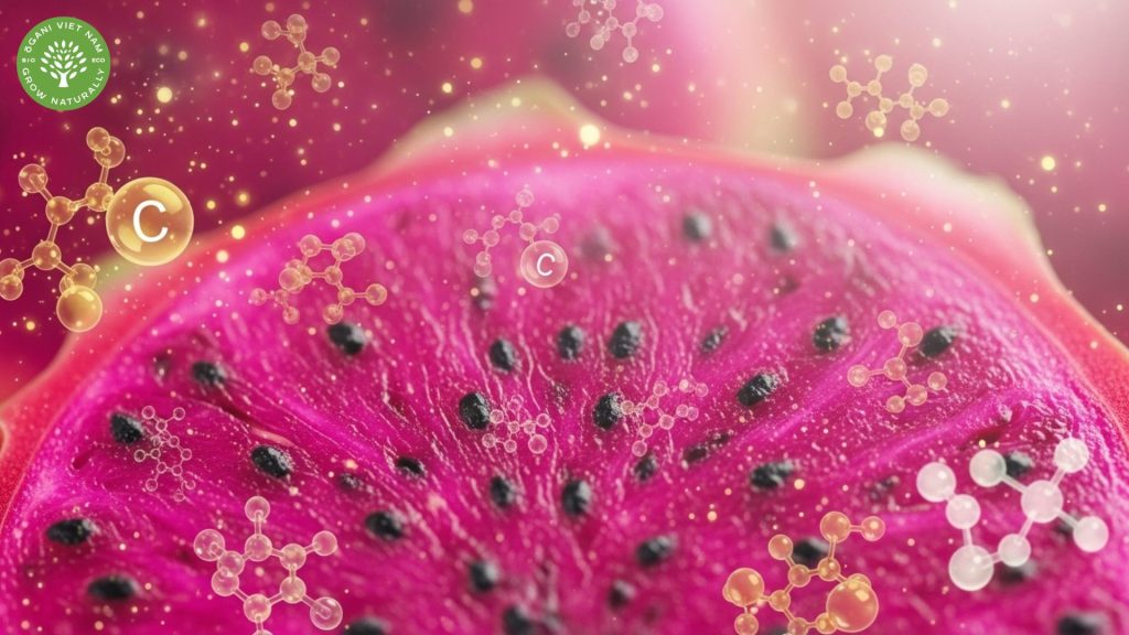 Dragon fruit red benefits