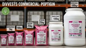 dragon fruit powder bulk wholesale usa