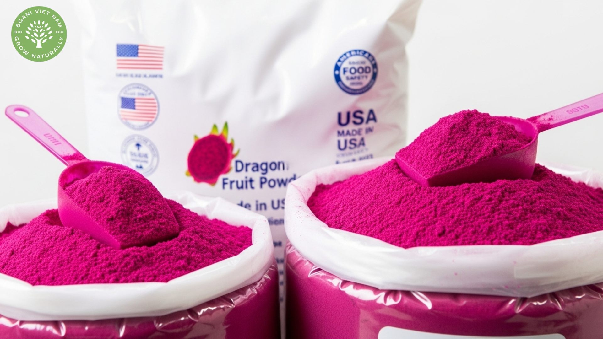 dragon fruit powder bulk wholesale usa
