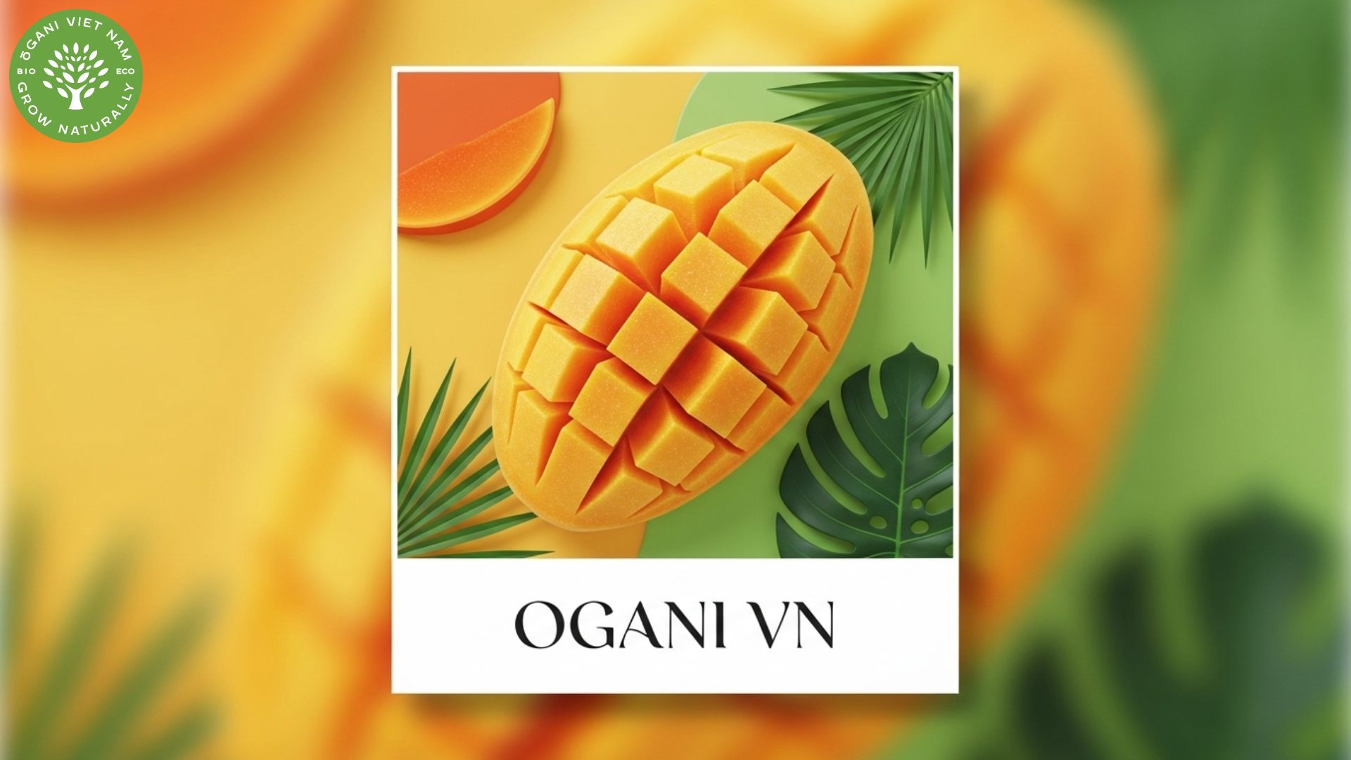 dried mango market 