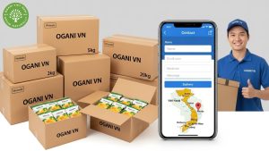 organic dried mango wholesale