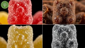 soft dried vs regular vs candied vs freeze dried