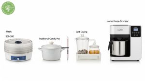 soft dried vs regular vs candied vs freeze dried