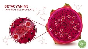 what makes red dragon fruit red
