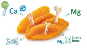 benefits of dried mango