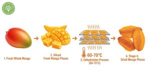 does dried mango have vitamin c