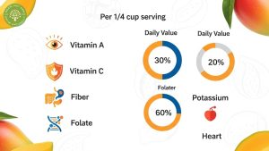 dried mango health