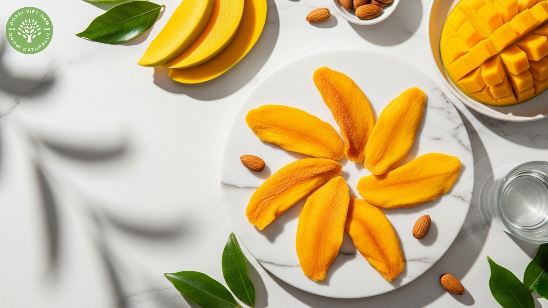 dried mango health benefits