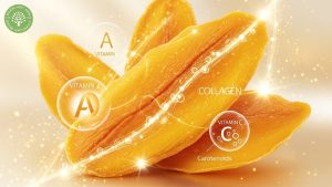 health benefits dried mango