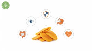 is unsweetened dried mango good for you