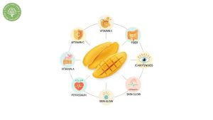 nutrition of dried mango