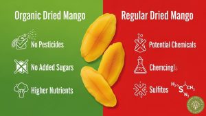 organic dried mango benefits
