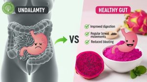 benefits of dragon fruit powder