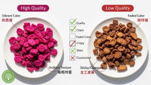 dragon fruit dried