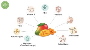 dried mango vs fresh mango