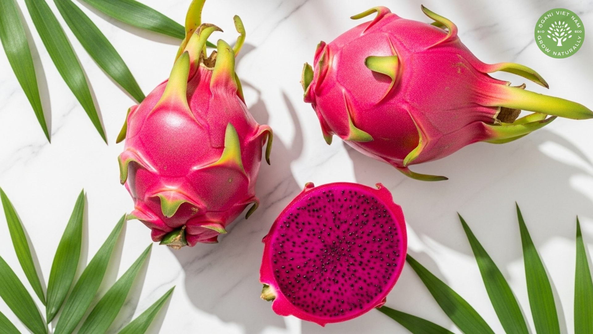 pink pitaya benefits