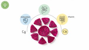 red dragon fruit dried