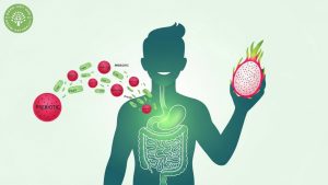 red dragon fruit health benefits