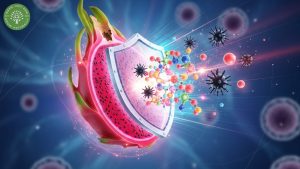 red dragon fruit health benefits